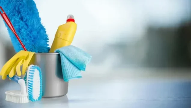 Выбор моющих средств: экопродукты или химия
